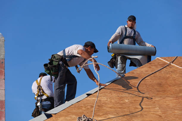 Best Roof Gutter Cleaning  in Farley, KY